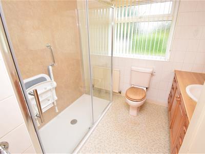 Picture 17